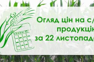 Соя подорожчала, ячмінь подешевшав — огляд цін на с/г продукцію за 22 листопада