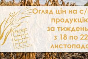 Як змінилися ціни на зернові та олійні — огляд за тиждень з 18 по 22 листопада