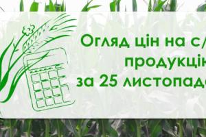 Пшениця подорожчала, ячмінь подешевшав — огляд цін на с/г продукцію за 25 листопада