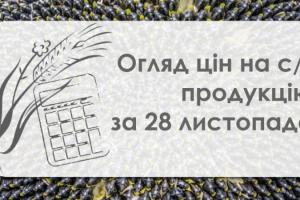 Як змінились ціни на зернові та олійні в Україні — огляд за 28 листопада