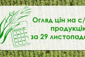 Кукурудза подорожчала, ячмінь подешевшав — огляд цін на с/г продукцію за 29 листопада