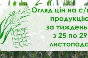 Як змінилися ціни на зернові та олійні — огляд за тиждень з 25 по 29 листопада