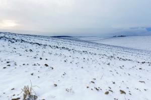 Україну накриють снігопади