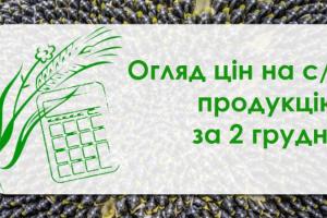 Кукурудза подорожчала, пшениця подешевшала — огляд цін на с/г продукцію за 2 грудня