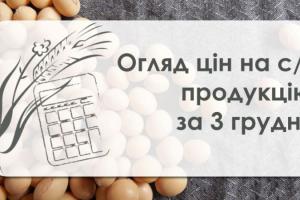 Як змінились ціни на зернові та олійні — огляд за 3 грудня