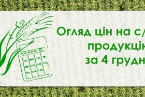 Соняшник та соя подорожчали — огляд цін на с/г продукцію за 4 грудня