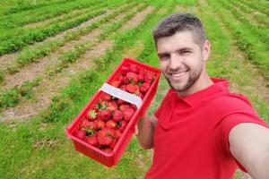 Микола Стецьків, співзасновник полуничної ферми «ФайнаBerry» на Львівщині