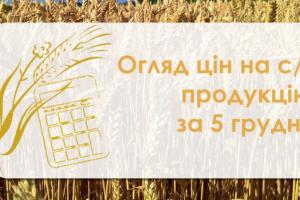 Соняшник продовжує дорожчати — огляд цін на с/г продукцію за 5 грудня