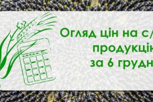 Ячмінь та кукурудза подорожчали — огляд цін на с/г продукцію за 6 грудня