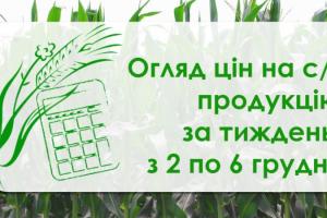 Як змінилися ціни на зернові та олійні — огляд за тиждень з 2 по 6 грудня