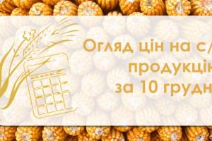 Соняшник подорожчав — огляд цін на с/г продукцію за 10 грудня