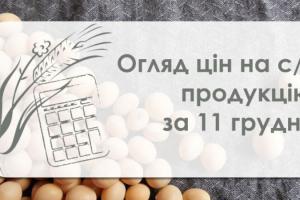 Ячмінь та соя подешевшали, ціна кукурудзи зросла — огляд цін на с/г продукцію за 11 грудня