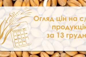 Ячмінь та соняшник продовжують дешевшати — огляд цін на с/г продукцію за 13 грудня