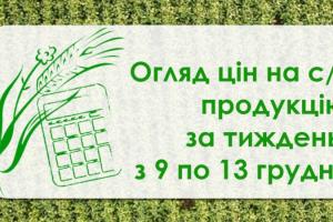 Кукурудза та соняшник подешевшали — огляд за тиждень з 9 по 13 грудня