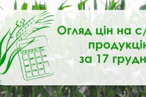 Кукурудза та соя подешевшали — огляд цін на с/г продукцію за 17 грудня