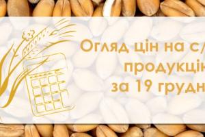 Соя подорожчала, ячмінь продовжує дешевшати — огляд цін на с/г продукцію за 19 грудня