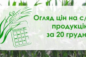 Соя та соняшник подорожчали — огляд цін на с/г продукцію за 20 грудня