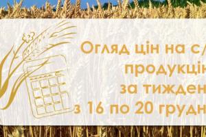 Як змінились ціни на зернові та олійні — огляд за тиждень з 16 по 20 грудня