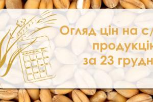 Соя та кукурудза подешевшали — огляд цін на с/г продукцію за 23 грудня