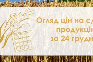 Соняшник та ячмінь подешевшали — огляд цін на с/г продукцію за 24 грудня