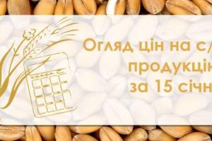 Кукурудза, пшениця та соняшник подорожчали — огляд цін на с/г продукцію за 15 січня