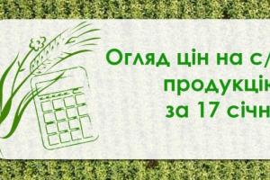 Кукурудза та соняшник подешевшали  — огляд цін на с/г продукцію за 17 січня
