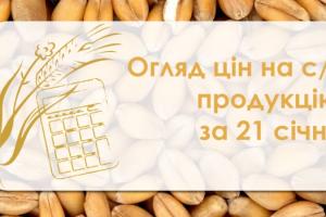 Ячмінь та соя подорожчали — огляд цін на с/г продукцію за 21 січня