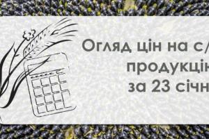 Кукурудза та пшениця подорожчали — огляд цін на с/г продукцію за 23 січня