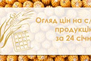 Зернові продовжують дорожчати — огляд цін на с/г продукцію за 24 січня