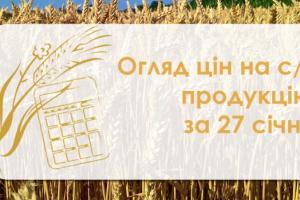 Зернові та олійні подешевшали — огляд цін на с/г продукцію за 27 січня