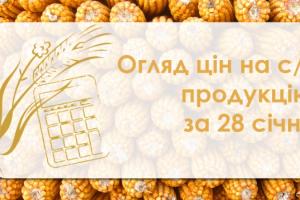 Як змінились ціни на зернові та олійні — огляд за 28 січня