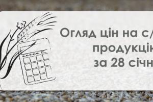 Соняшник та соя подешевшали — огляд цін на с/г продукцію за 29 січня