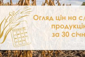 Ріпак та соя подешевшали — огляд цін на с/г продукцію за 30 січня