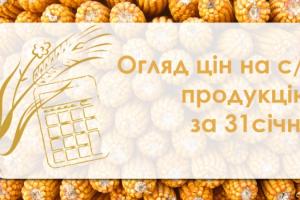 Ріпак продовжує дешевшати — огляд цін на с/г продукцію за 31 січня