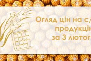 Зернові та олійні дорожчають — огляд цін на с/г продукцію за 3 лютого