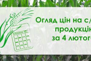 Кукурудза та ячмінь продовжують дорожчати — огляд цін на с/г продукцію за 4 лютого