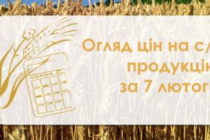 Пшениця та кукурудза подешевшали— огляд цін на с/г продукцію за 7 лютого