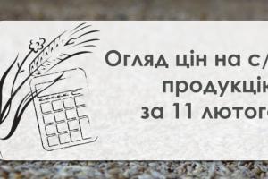 Кукурудза продовжує дешевшати — огляд цін на с/г продукцію за 11 лютого