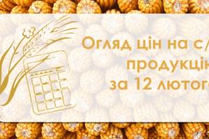 Зернові та олійні продовжують дешевшати — огляд цін на с/г продукцію за 12 лютого