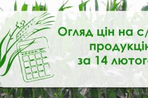 В Україні подорожчала пшениця — огляд цін на с/г продукцію за 14 лютого