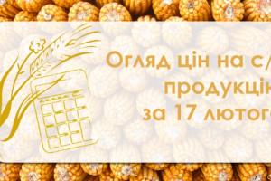 Соя та ріпак подешевшали — огляд цін на с/г продукцію за 17 лютого