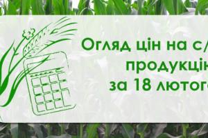 В Україні дешевшають соняшник, ріпак та соя — огляд цін на с/г продукцію за 18 лютого