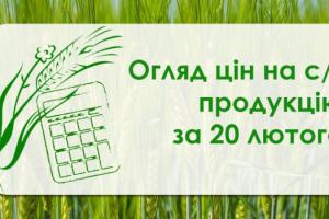 Як змінились ціни на зернові та олійні — огляд за 20 лютого