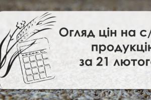 Соняшник, соя та ріпак подорожчали — огляд цін на с/г продукцію за 21 лютого