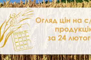 Соняшник та кукурудза подорожчали — огляд цін на с/г продукцію за 24 лютого