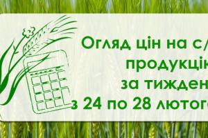 В Україні продовжує знижуватись ціна на кукурудзу — огляд за тиждень з 24 по 28 лютого