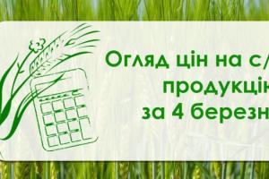 В Україні подешевшала пшениця — огляд цін на с/г продукцію за 4 березня