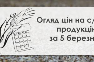 В Україні знижуються закупівельні ціни на зернові — огляд за 5 березня