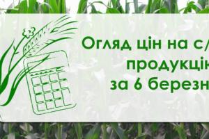 Ріпак та соя подорожчали — огляд цін на с/г продукцію за 6 березня