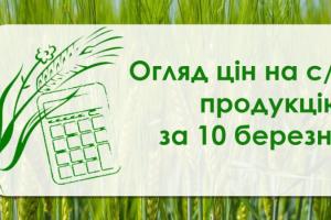 В Україні знизились закупівельні ціни на ріпак та сою — огляд за 10 березня